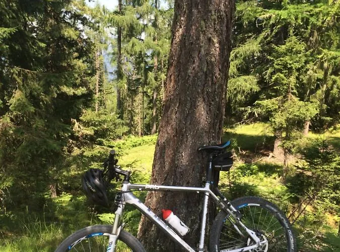 度假居 Alpenferienhaus Kreischberg