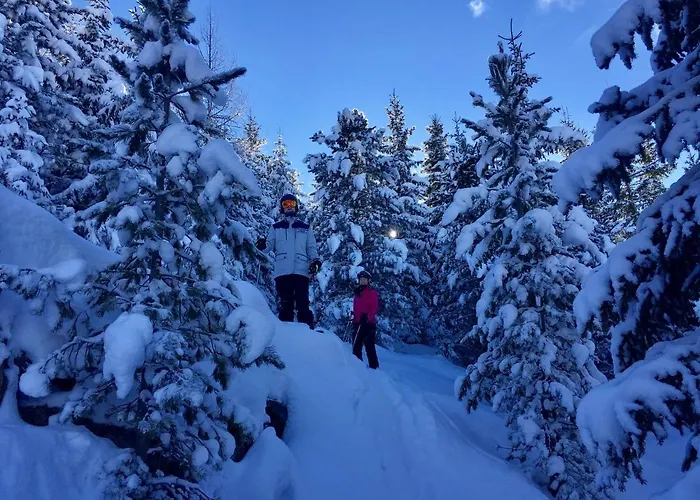 Alpenferienhaus Kreischberg * Sankt Lorenzen ob Murau